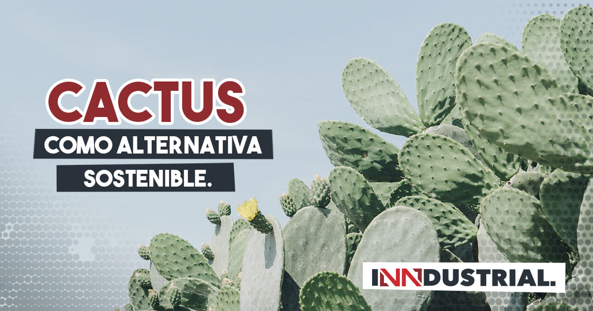 Apuesta del Cactus leather, alternativas sostenibles para el cambio